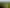 1040 Roberts Line, Bunnythorpe