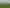 1040 Roberts Line, Bunnythorpe
