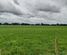 1040 Roberts Line, Bunnythorpe, Manawatu, Manawatu / Whanganui