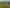 1040 Roberts Line, Bunnythorpe