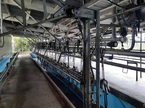 1040 Roberts Line, Bunnythorpe