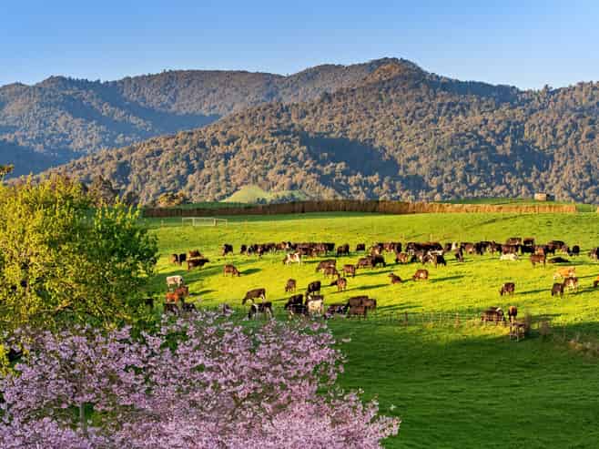 48 Poland Street, Waikino