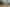 444 Razorback Road, Pokeno