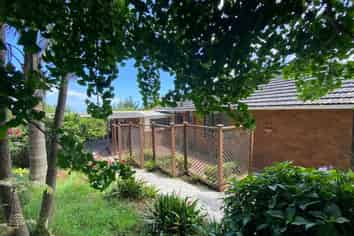 444 Razorback Road, Pokeno