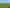 4683 Ohaupo Road, Ohaupo