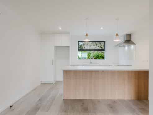 1/12 Ruakiwi Road, Hamilton Lake