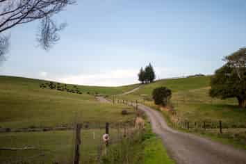 6986B State Highway 1, Kaitaia