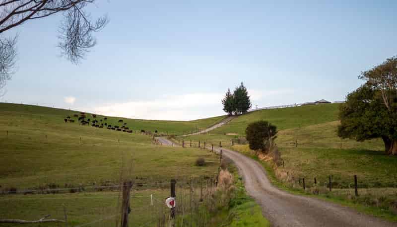 6986B State Highway 1, Kaitaia