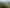 Lot 380 Rangitahi Peninsula, Raglan
