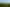  Manawa Forest, Tinui
