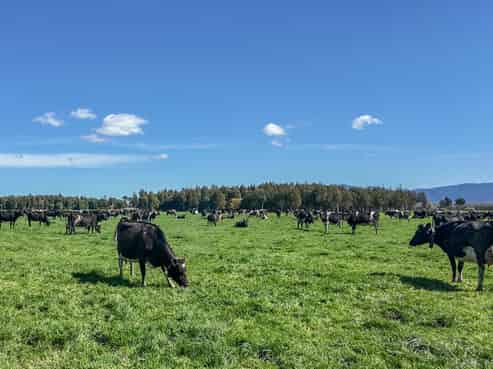 1807 Kahutara Road, Kahutara