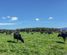 1807 Kahutara Road, Featherston, South Wairarapa, Wairarapa