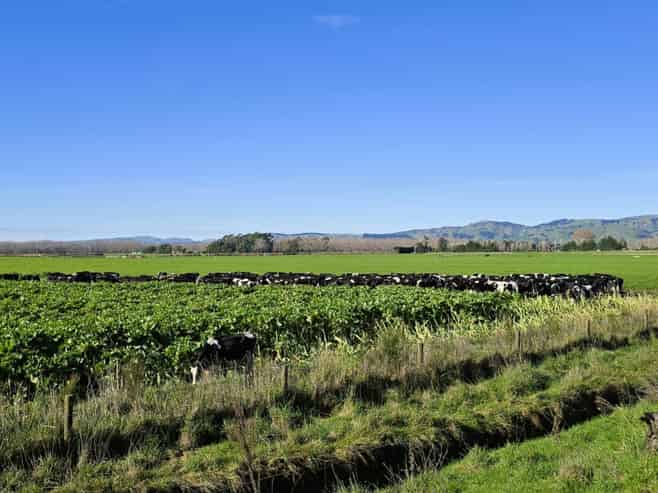 1556 Kahutara Road, Kahutara