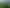 1556 Kahutara Road, Kahutara
