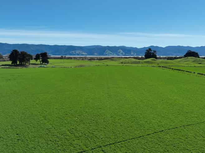 1556 Kahutara Road, Kahutara