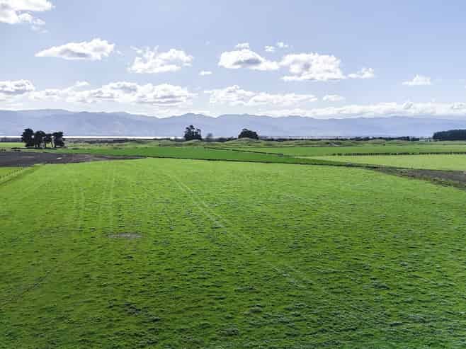 1556 Kahutara Road, Kahutara