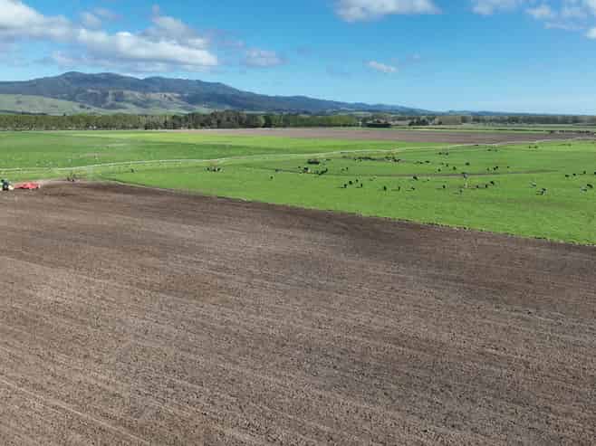 1556 Kahutara Road, Kahutara