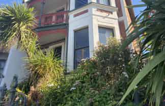 54 Manor Place, South Dunedin