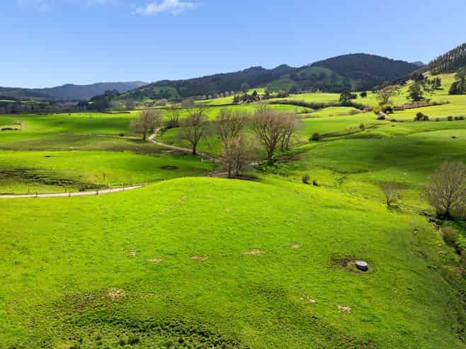  Samson Road, Waihi