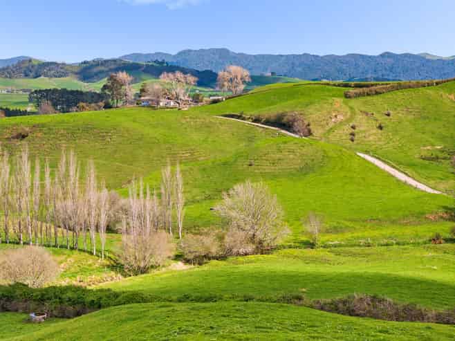  Samson Road, Waihi