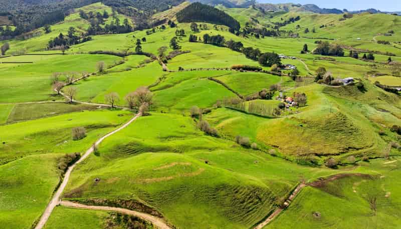  Samson Road, Waihi