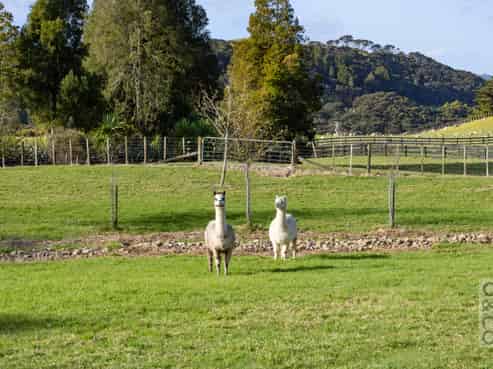 93 Alf Access Road, Helensville