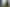 98 Dundas Street, North Dunedin