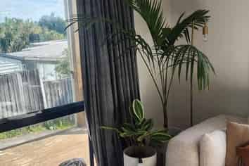 Auckland - Address withheld