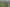 Build Your Dream Home in Tuakau - Vendors opt out