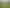 503 Pickering Road, Tamahere