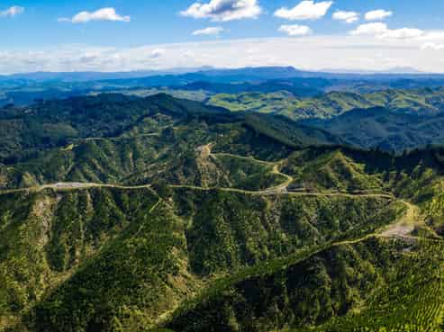 Bruce Road, Whatatutu, Whatatutu