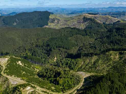 Bruce Road, Whatatutu, Whatatutu