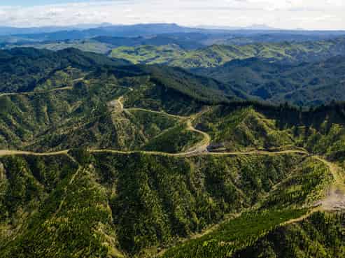 Bruce Road, Whatatutu, Whatatutu