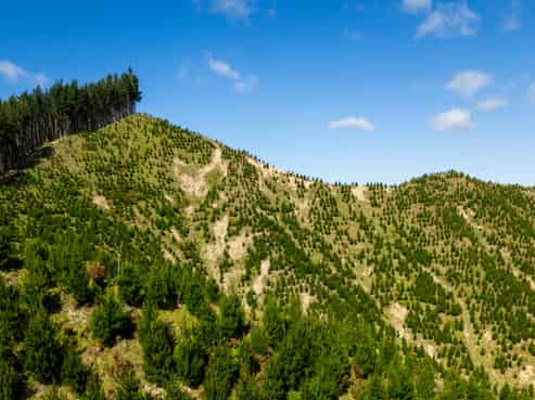 Bruce Road, Whatatutu, Whatatutu