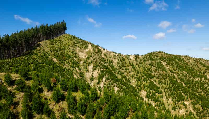 Bruce Road, Whatatutu, Whatatutu