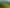 Bruce Road, Whatatutu, Whatatutu