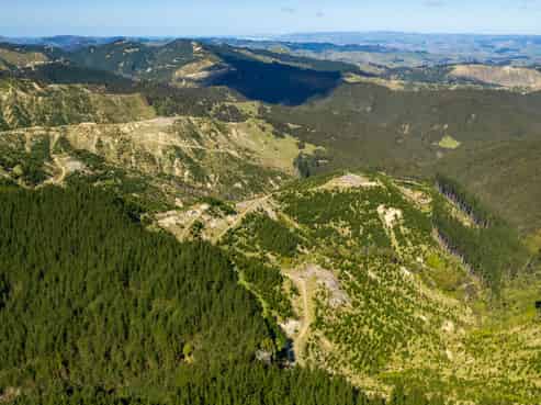 Bruce Road, Whatatutu, Whatatutu