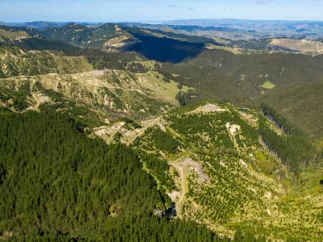 Bruce Road, Whatatutu, Whatatutu