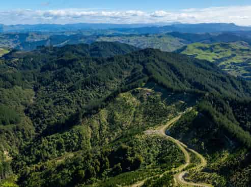 Bruce Road, Whatatutu, Whatatutu