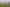 Manawatu / Whanganui - Address withheld