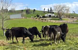 18 Paewhenua Road, Otorohanga