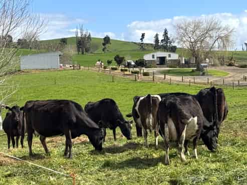 18 Paewhenua Road, Maihiihi