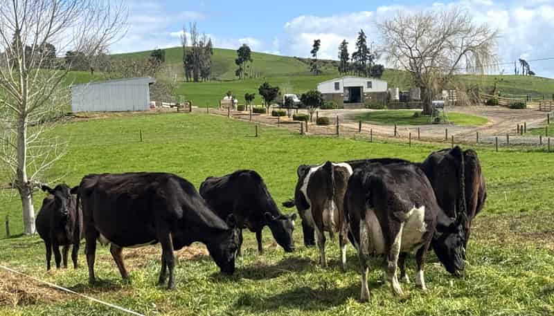 18 Paewhenua Road, Otorohanga