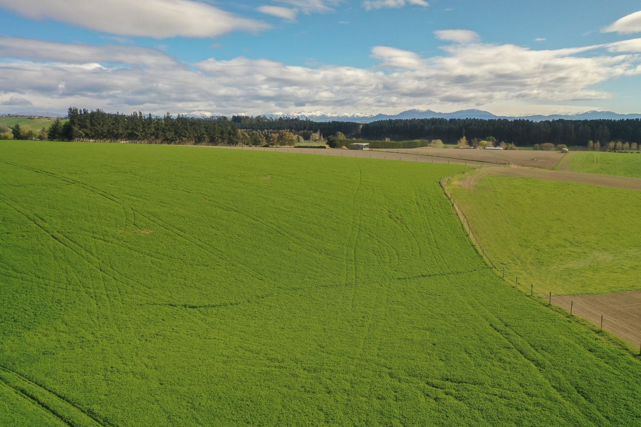 Versatile 84.92ha farm near Timaru - Ansicht 6