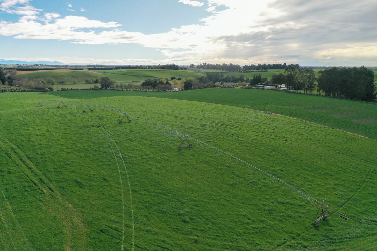 Versatile 84.92ha farm near Timaru - Ansicht 4
