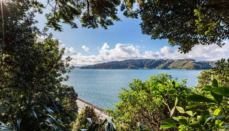 196b Evans Bay Parade, Roseneath