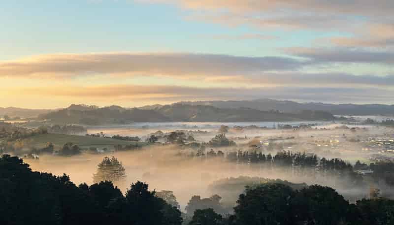  Waitaua Road, Kauri