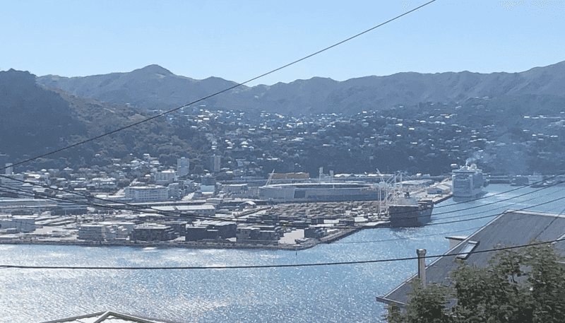 43 Palliser Road, Roseneath