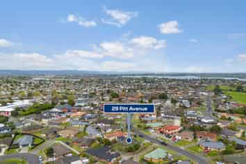 29 Pitt Avenue, Clendon Park