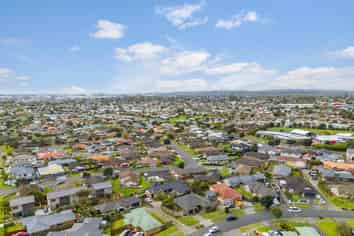 29 Pitt Avenue, Clendon Park